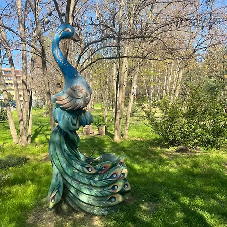 Complex Sol Marine Sunny Apartman